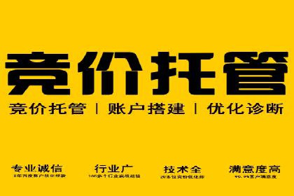 案例解析：SEM托管代运营团队风采